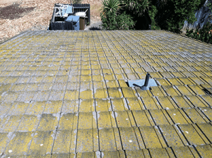 Before Roof Cleaning in Sacramento, CA